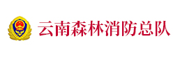 云南森林消防总队