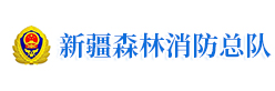 新疆森林消防总队