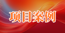 项目案例